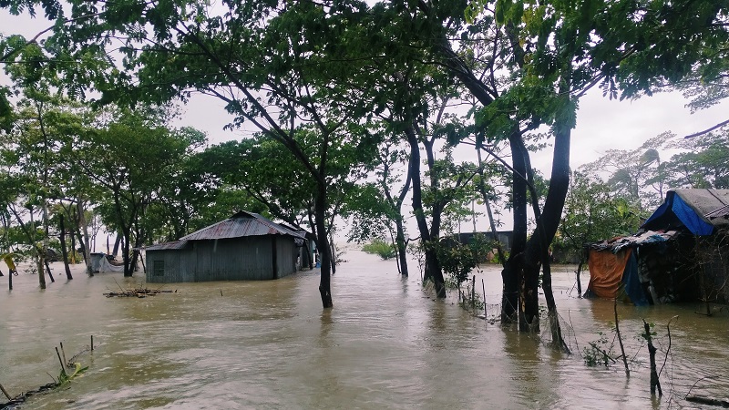 2025/July 2025/অস্বাভাবিক জোয়ারে নিঝুম দ্বীপসহ হাতিয়ার নিম্নাঞ্চল প্লাবিত.jpg